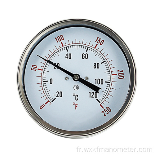 Thermomètre de type capillaire rempli de gaz NPT à anneau